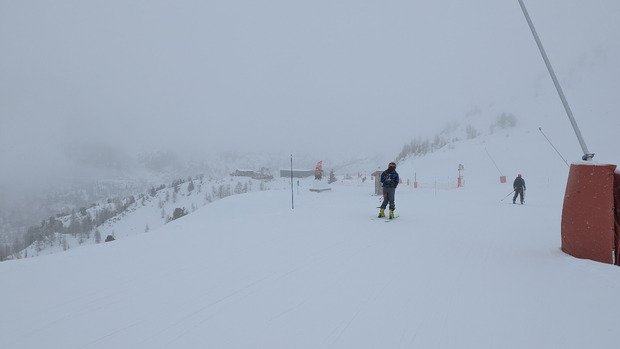 En attendant la neige 