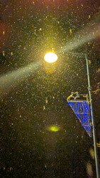 En attendant la neige 