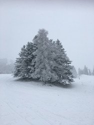 Secteur d&eacute;butant.