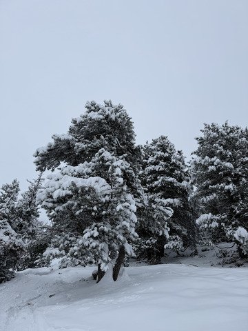 1er de la saison assez agr&eacute;able 