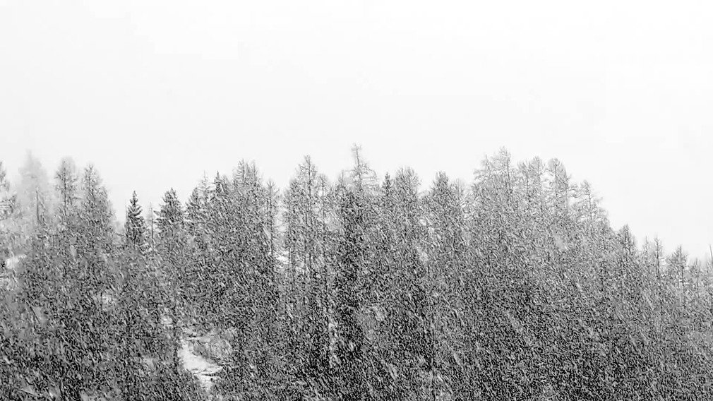 Dr&ocirc;le de truc blanc  tombant du ciel