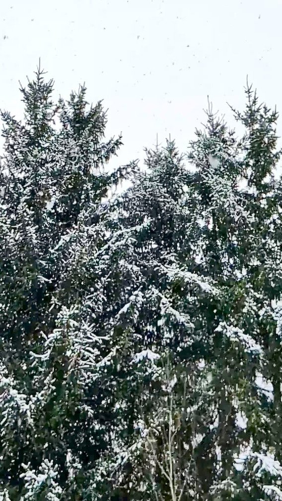 Dr&ocirc;le de truc blanc  tombant du ciel