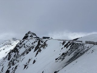 #14, oasis oasis hooo🌴☃️🌥️🌨️