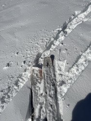 Petit cadeau de noel