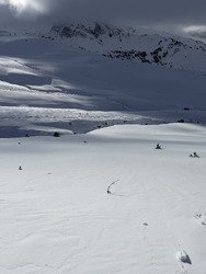 Petit cadeau de noel