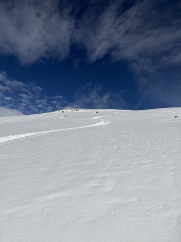 Petit cadeau de noel