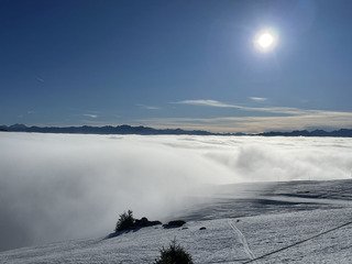 Du givre et de la brume