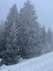 Du givre et de la brume