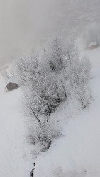 De mieux en mieux, ambiance Reine des Neige 