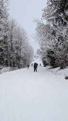 De mieux en mieux, ambiance Reine des Neige 