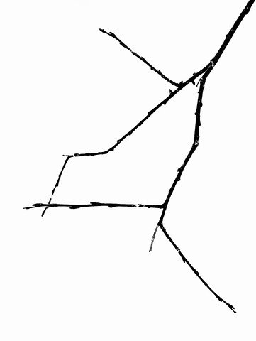 Cadeaux de la nature