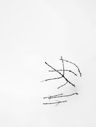 Cadeaux de la nature