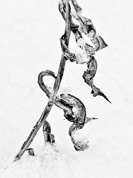 Cadeaux de la nature