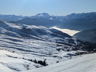 Agr&eacute;able surprise 