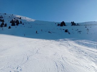 Matin&eacute;e contrainte mais il y a toujours des options sympathiques 
