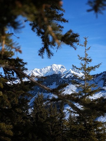 Bonne ann&eacute;e et bonnet rouge
