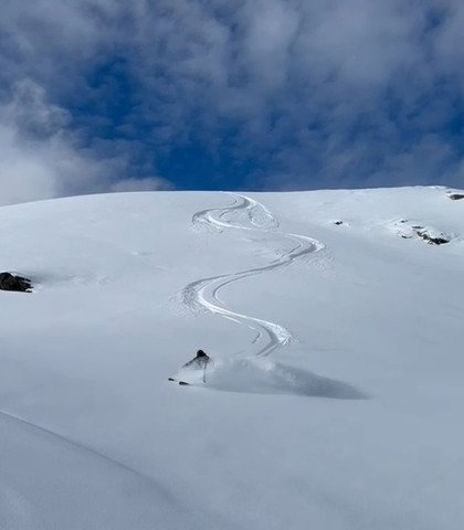 Sun&ColdPow ❄️👌et quelques sharks 🦈 