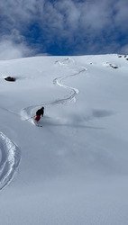 Sun&ColdPow ❄️👌et quelques sharks 🦈 