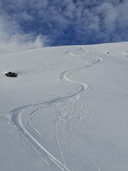 Sun&ColdPow ❄️👌et quelques sharks 🦈 