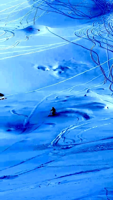 Sun&ColdPow ❄️👌et quelques sharks 🦈 