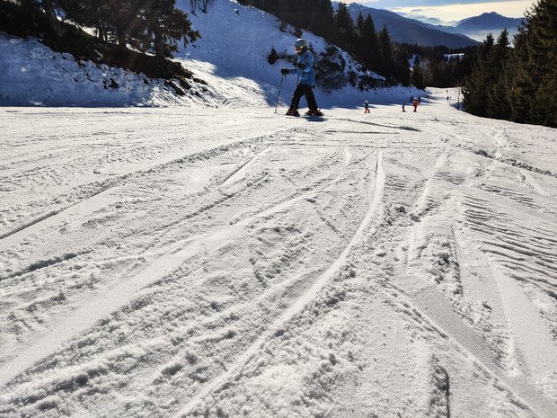 Le collet tient le coup