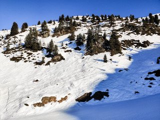 Le collet tient le coup