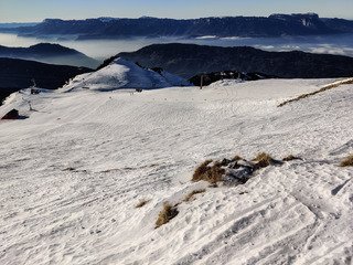 Le collet tient le coup