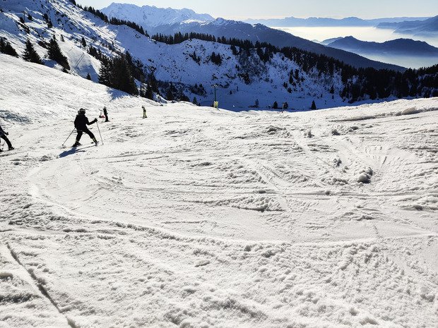 Le collet tient le coup