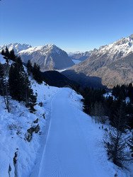 Cocktail de glace et de cailloux 