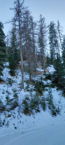 C'est ce qu'on doit appeler le g&eacute;nie 😁