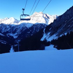 Disette stabilis&eacute;e 