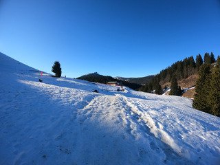 Raquettes on Ice aux gli&egrave;res