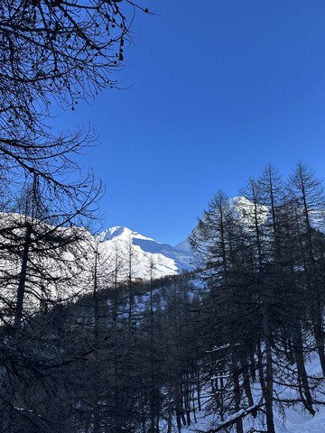 On prend les m&ecirc;mes et on recommence