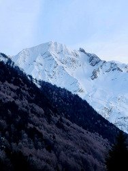 Neige critique et caisse anti-commerciale