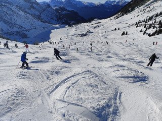 Les bosses &agrave; monchus 🐫
