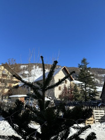 Echecs et mat - la foule a gagn&eacute;