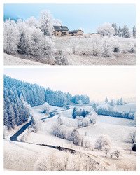Dans le Vercors, on n'a pas de neige mais on a du givre !