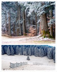 Dans le Vercors, on n'a pas de neige mais on a du givre !