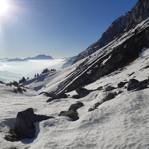 T&ocirc;le ondul&eacute;e 