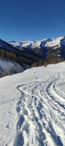 Une tr&egrave;s belle d&eacute;couverte ! 