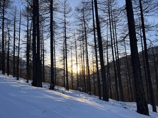Pour commencer l&rsquo;ann&eacute;e en fl&egrave;che 