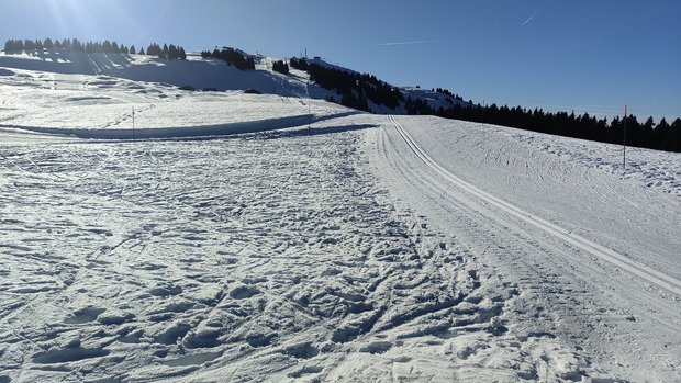 Skating : une fine couche de qualit&eacute; 👍