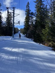 Agr&eacute;ablement surprise ✨❄️