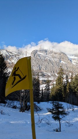 &Ccedil;a patine au Grand Bo