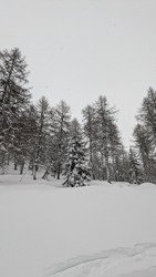 Jour blanc mais jour bon !