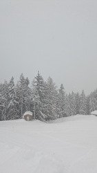 Jour blanc mais jour bon !