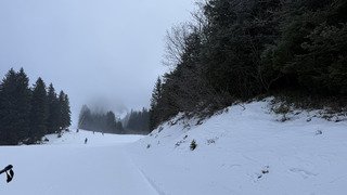On skis sur le dur.. mais on ski !