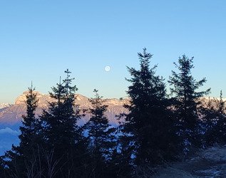 Froid, &eacute;tonnamment bon et beaucoup moins de monde. 