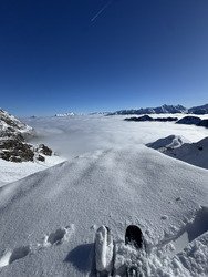 Mieux en photo qu&rsquo;en vrai!