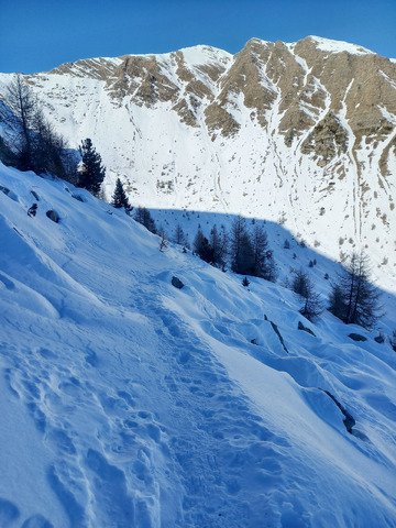 Mont Guillaume.... en crampons !